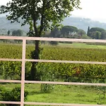 Podere Ricciolino 卡斯塔涅托卡尔杜奇
