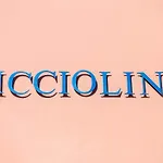 农家乐 Podere Ricciolino