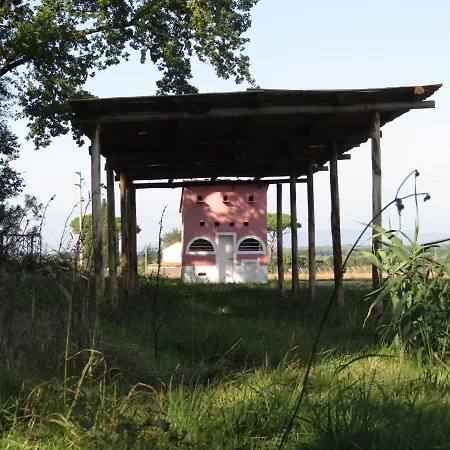 Alloggio per agriturismo Podere Ricciolino Castagneto Carducci