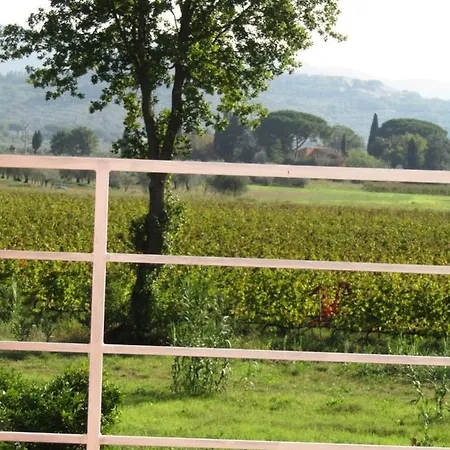 Podere Ricciolino Castagneto Carducci