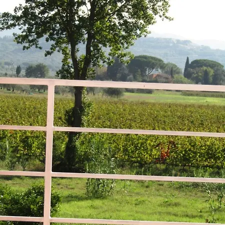Podere Ricciolino Castagneto Carducci