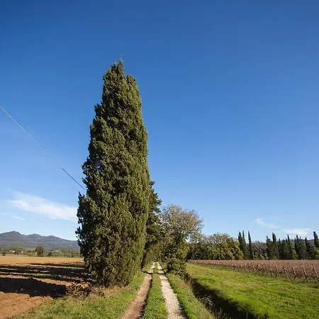 Podere Ricciolino * Castagneto Carducci